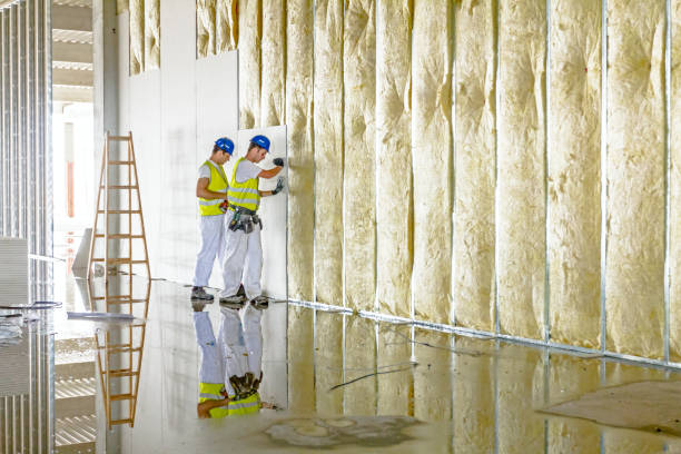 Best Insulation Air Sealing  in Van Horn, TX